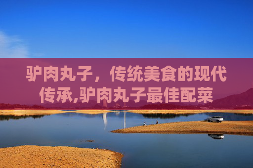 驴肉丸子，传统美食的现代传承,驴肉丸子最佳配菜
