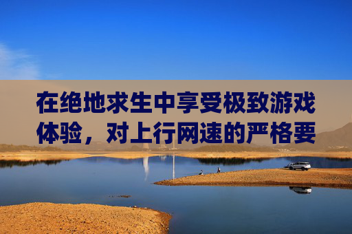在绝地求生中享受极致游戏体验，对上行网速的严格要求,pubg网络参数在哪设置