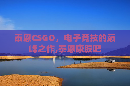 泰恩CSGO，电子竞技的巅峰之作,泰恩康股吧