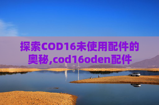 探索COD16未使用配件的奥秘,cod16oden配件