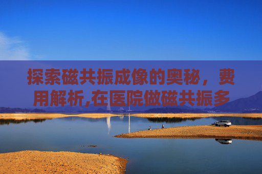 探索磁共振成像的奥秘，费用解析,在医院做磁共振多少钱
