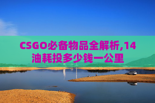 CSGO必备物品全解析,14油耗投多少钱一公里