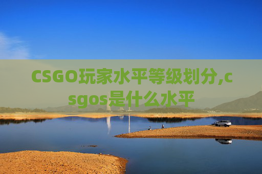 CSGO玩家水平等级划分,csgos是什么水平