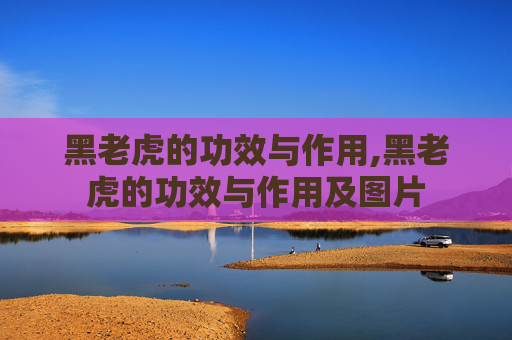 黑老虎的功效与作用,黑老虎的功效与作用及图片