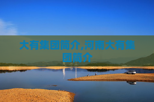 大有集团简介,河南大有集团简介