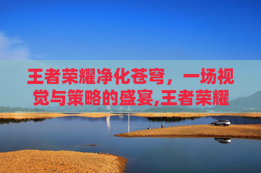 王者荣耀净化苍穹，一场视觉与策略的盛宴,王者荣耀净化苍穹怎么升级