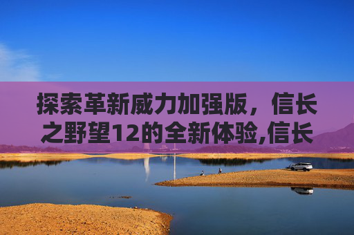 探索革新威力加强版，信长之野望12的全新体验,信长之野望12革新威力加强版特殊战法