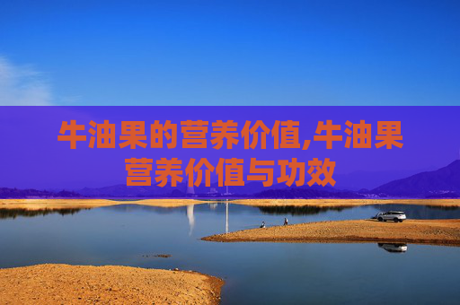 牛油果的营养价值,牛油果营养价值与功效