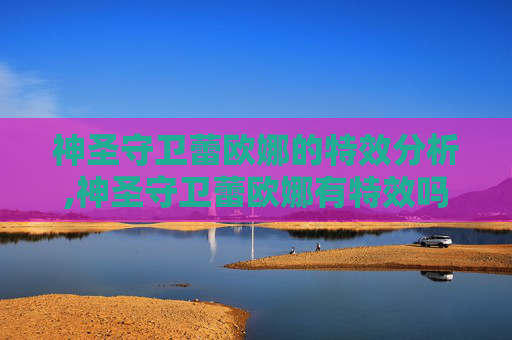 神圣守卫蕾欧娜的特效分析,神圣守卫蕾欧娜有特效吗