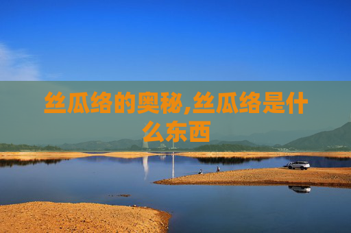 丝瓜络的奥秘,丝瓜络是什么东西
