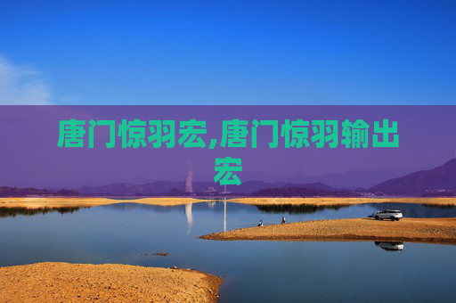 唐门惊羽宏,唐门惊羽输出宏