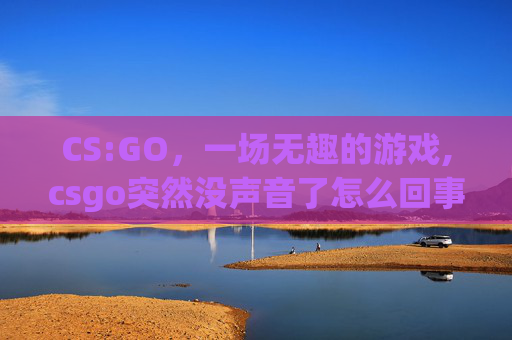 CS:GO，一场无趣的游戏,csgo突然没声音了怎么回事