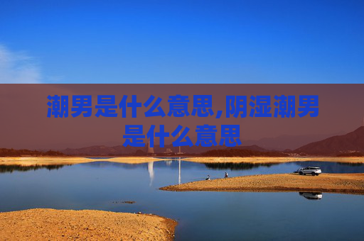 潮男是什么意思,阴湿潮男是什么意思