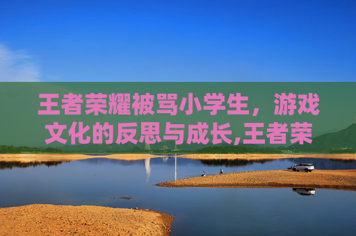 王者荣耀被骂小学生，游戏文化的反思与成长,王者荣耀初中生互骂视频