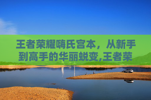 王者荣耀嗨氏宫本，从新手到高手的华丽蜕变,王者荣耀嗨氏事件