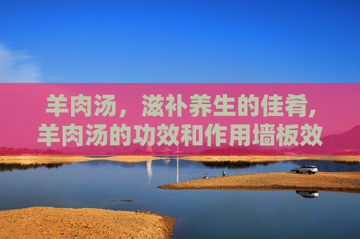 羊肉汤，滋补养生的佳肴,羊肉汤的功效和作用墙板效果图