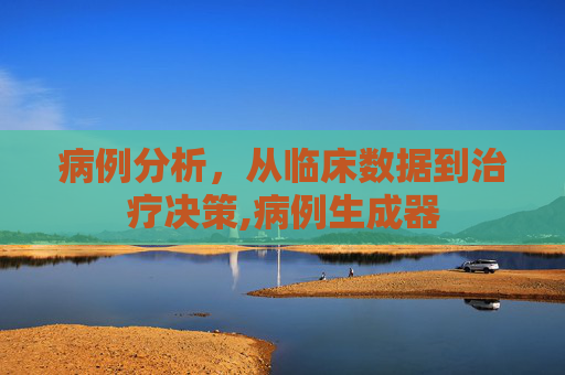 病例分析，从临床数据到治疗决策,病例生成器