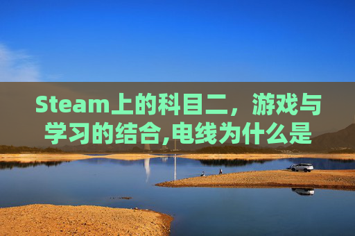 Steam上的科目二，游戏与学习的结合,电线为什么是两根