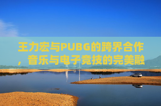 王力宏与PUBG的跨界合作，音乐与电子竞技的完美融合,王力宏蒲巴甲图片对比