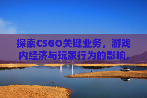 探索CSGO关键业务，游戏内经济与玩家行为的影响,CS关键任务