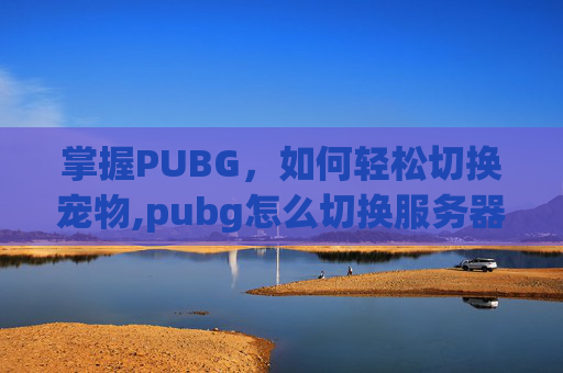 掌握PUBG，如何轻松切换宠物,pubg怎么切换服务器
