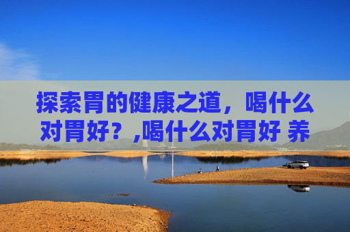 探索胃的健康之道，喝什么对胃好？,喝什么对胃好 养胃