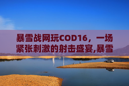 暴雪战网玩COD16,一场紧张刺激的射击盛宴,暴雪战网玩游戏突然要电话号码 暴雪战网玩COD16,一场紧张刺激的射击盛宴,暴雪战网玩游戏突然要电话号码