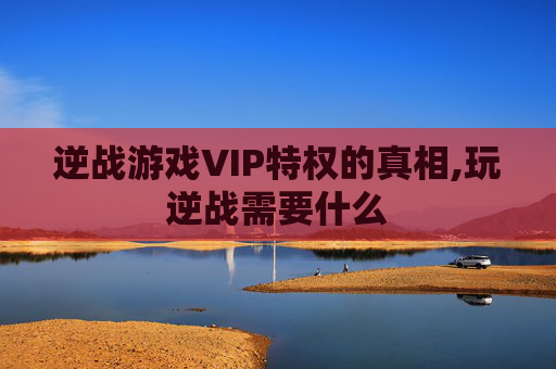 逆战游戏VIP特权的真相,玩逆战需要什么