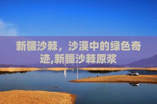 新疆沙棘，沙漠中的绿色奇迹,新疆沙棘原浆