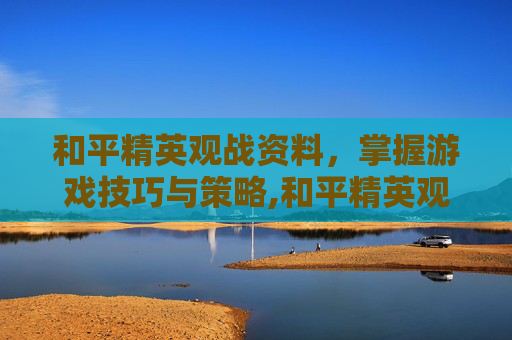 和平精英观战资料，掌握游戏技巧与策略,和平精英观战资料怎么删除