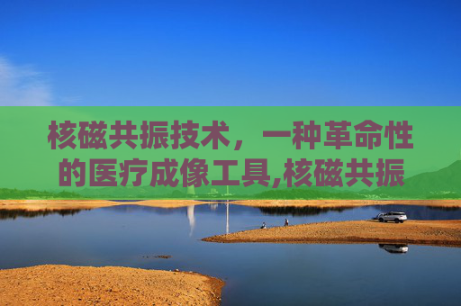 核磁共振技术，一种革命性的医疗成像工具,核磁共振技术是谁发明的