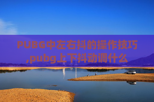 PUBG中左右抖的操作技巧,pubg上下抖动调什么