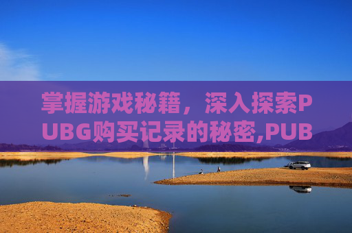 掌握游戏秘籍，深入探索PUBG购买记录的秘密,PUBG购买记录在哪里查看