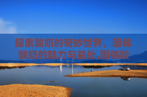 探索酸奶的奇妙世界，固体酸奶的魅力与益处,固体酸奶怎么做