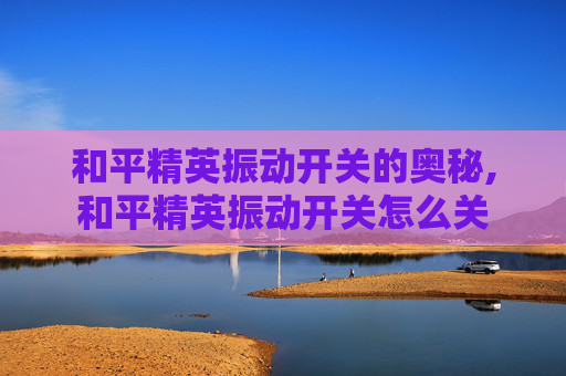 和平精英振动开关的奥秘,和平精英振动开关怎么关