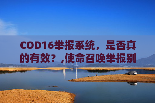 COD16举报系统，是否真的有效？,使命召唤举报别人知道吗