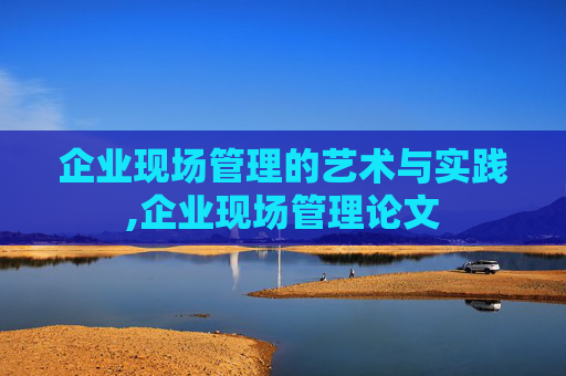企业现场管理的艺术与实践,企业现场管理论文