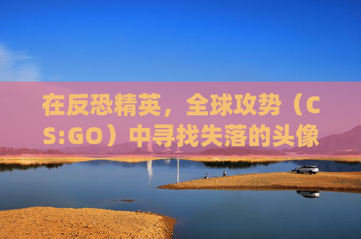 在反恐精英，全球攻势（CS:GO）中寻找失落的头像,csgo头像超清搞笑