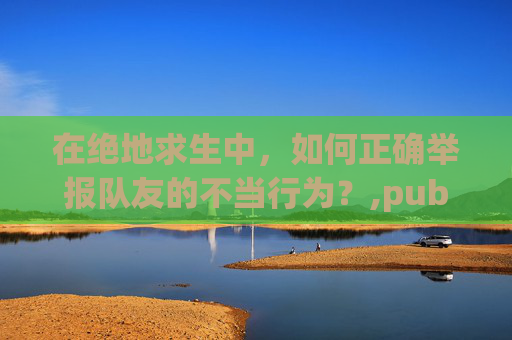 在绝地求生中，如何正确举报队友的不当行为？,pubg举报队友杀队友要多久