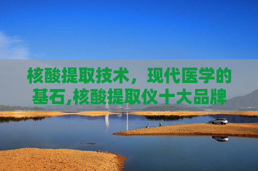 核酸提取技术，现代医学的基石,核酸提取仪十大品牌