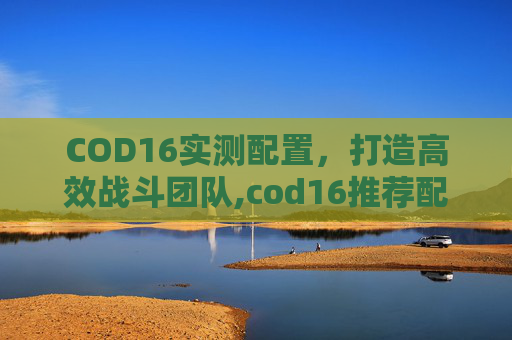 COD16实测配置，打造高效战斗团队,cod16推荐配置