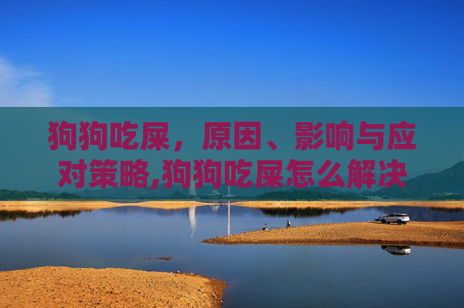 狗狗吃屎，原因、影响与应对策略,狗狗吃屎怎么解决