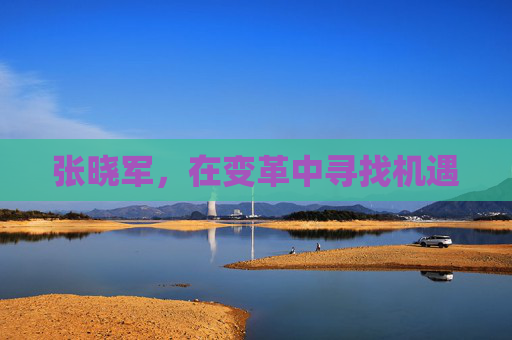 张晓军，在变革中寻找机遇