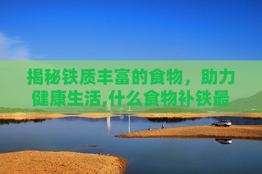揭秘铁质丰富的食物，助力健康生活,什么食物补铁最好