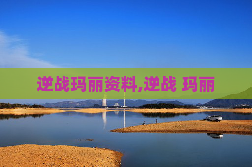 逆战玛丽资料,逆战 玛丽