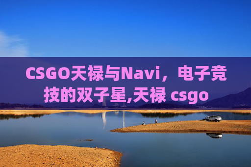 CSGO天禄与Navi，电子竞技的双子星,天禄 csgo