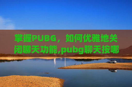 掌握PUBG，如何优雅地关闭聊天功能,pubg聊天按哪个键