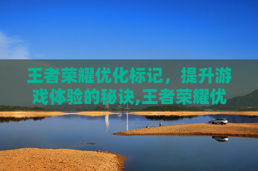 王者荣耀优化标记，提升游戏体验的秘诀,王者荣耀优化标记有什么用