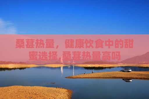 桑葚热量，健康饮食中的甜蜜选择,桑葚热量高吗