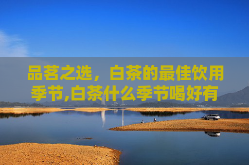 品茗之选，白茶的最佳饮用季节,白茶什么季节喝好有禁忌吗